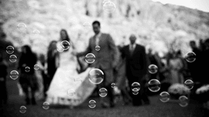 Fotografia de Casamento: Luz e Composição