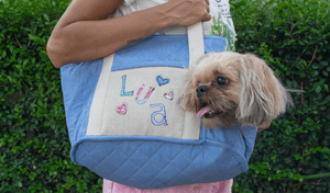  Costura criativa para pet: bolsa de transporte e bandana